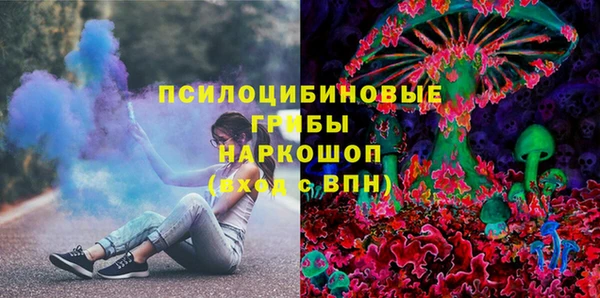 МДПВ Алексеевка