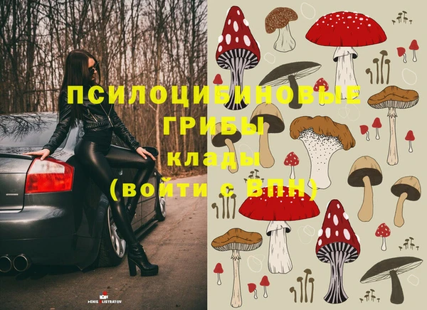 МДПВ Алексеевка