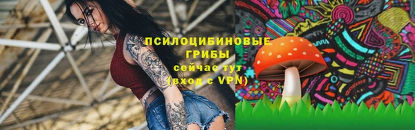 МДПВ Алексеевка