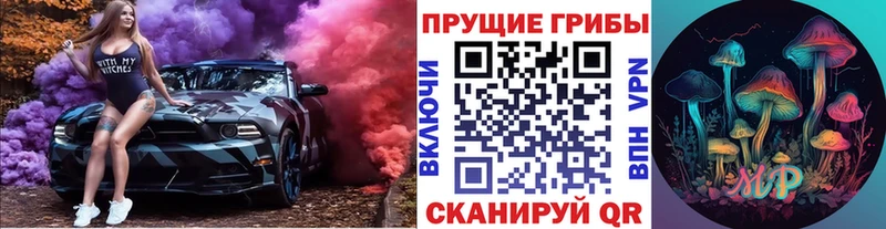 Галлюциногенные грибы Psilocybine cubensis Алушта